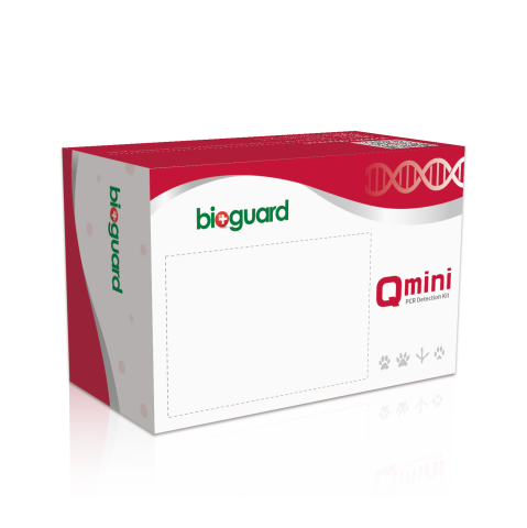 Feline Parvovirus Real Time PCR Detection Kit (8 ks)