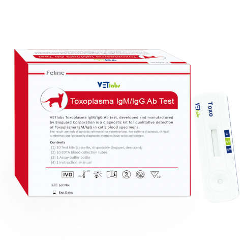 'Toxoplasma Test'